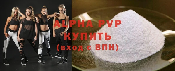 шишки Коряжма