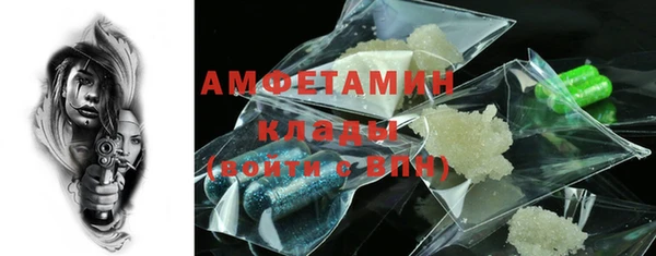 шишки Коряжма