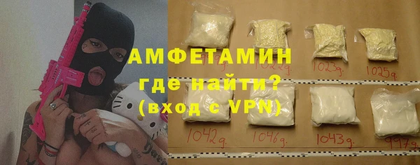 шишки Коряжма