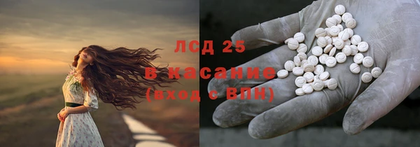 прущие грибы Козельск