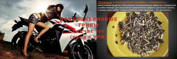 шишки Коряжма