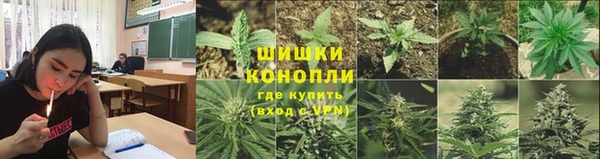 спайс Кодинск