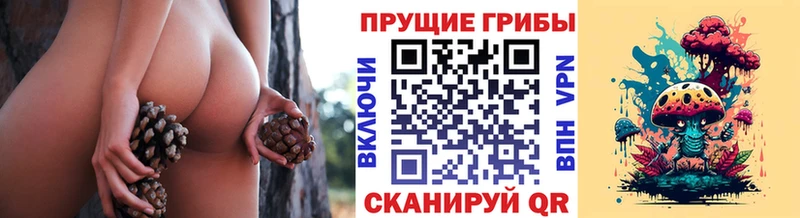 Псилоцибиновые грибы ЛСД  ссылка на мегу онион  Макарьев  наркота 